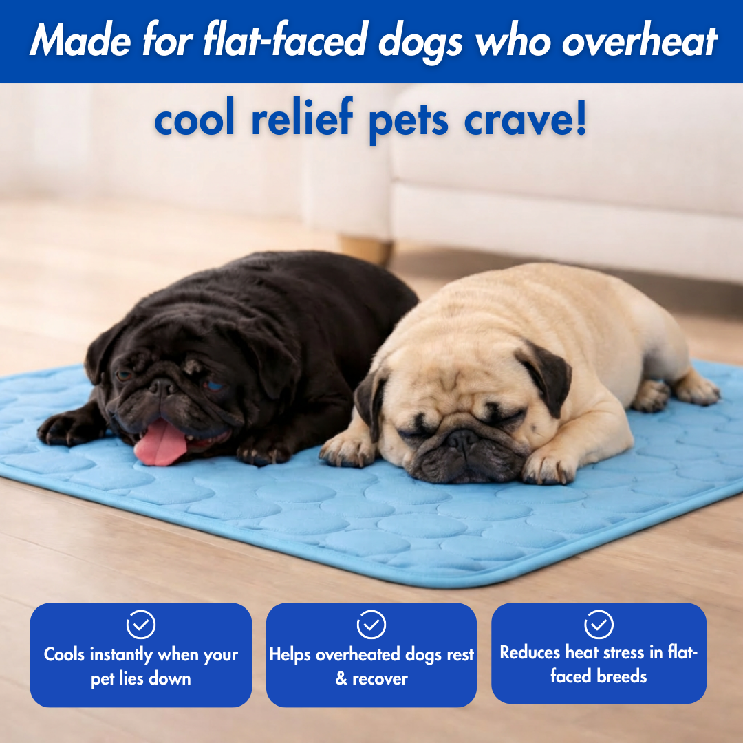 FureverPets CoolBreath™ Mat