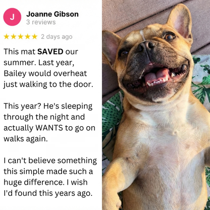 FureverPets CoolBreath™ Mat