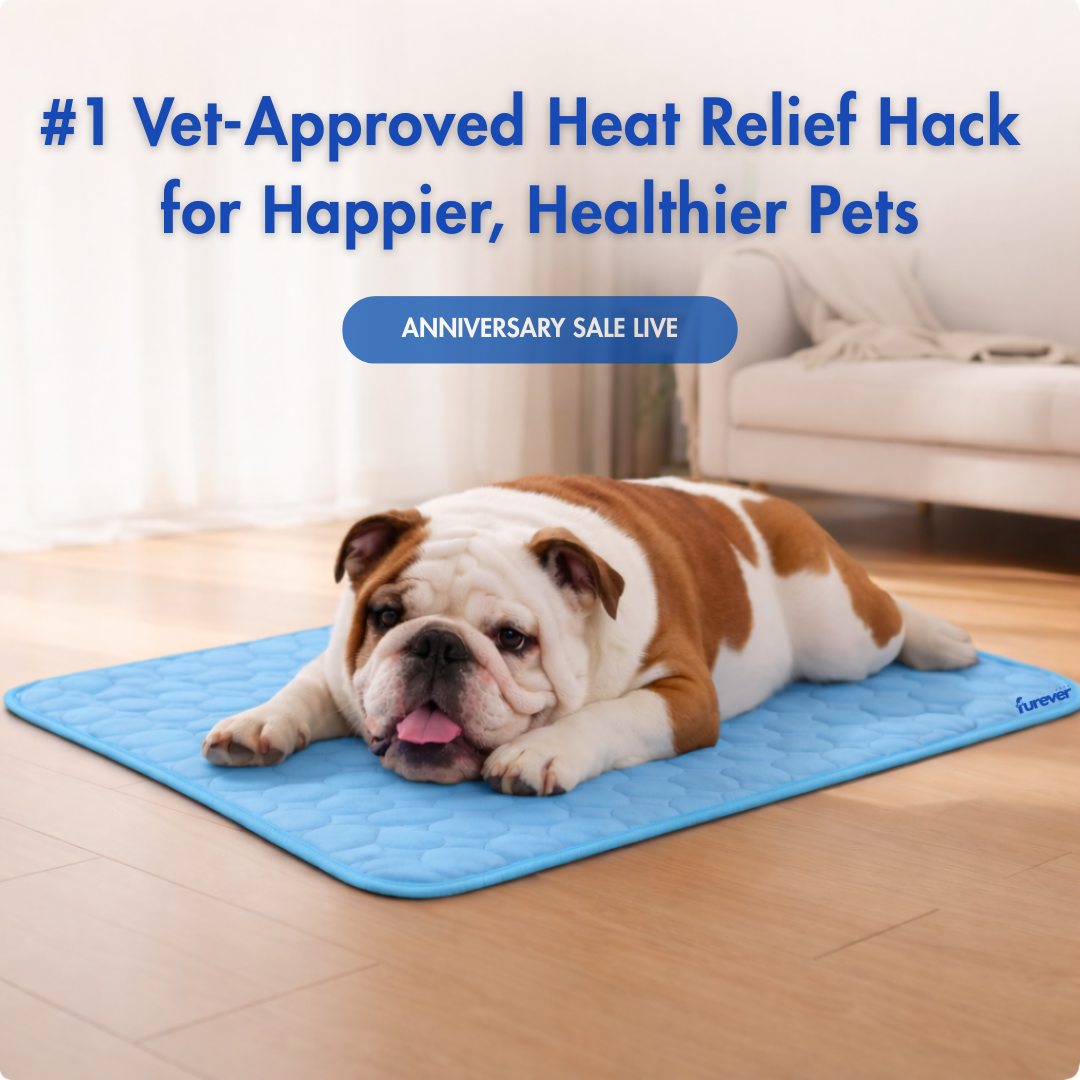 FureverPets CoolBreath™ Mat